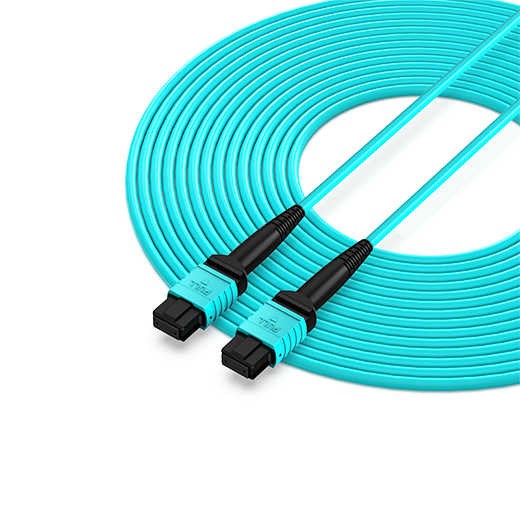netLINK HTF-24*MPO-M4B20