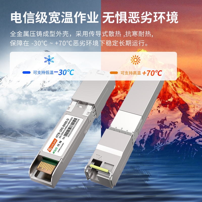 netLINK  HTB-10G-BX80-D